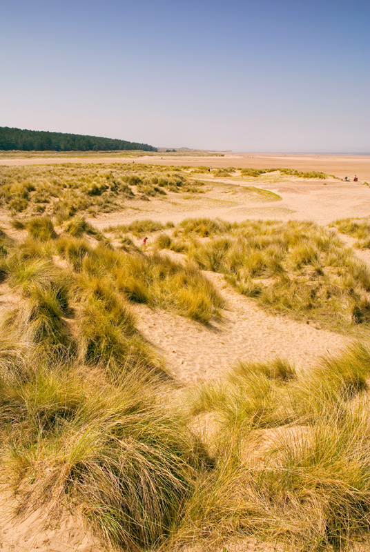 Holkham-1