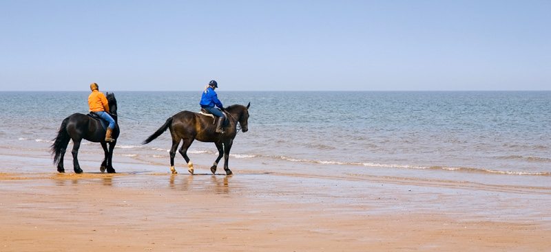 Holkham-2