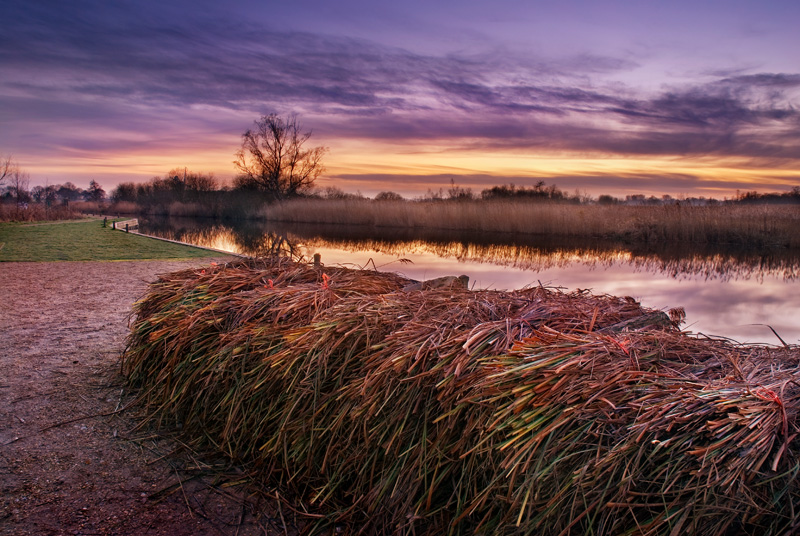 Norfolk-Broads-Howe-Hill-2