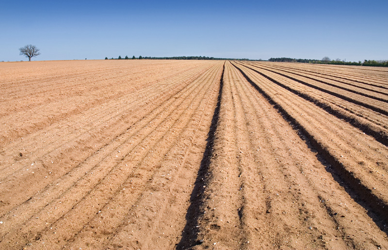 Norfolk-farmland