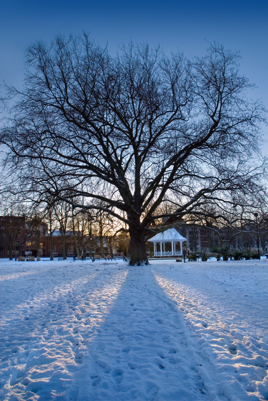 Norwich-Chapelfield-Gardens-snow