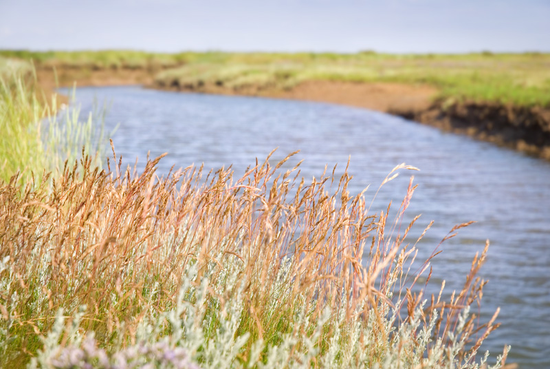 Stiffkey-1