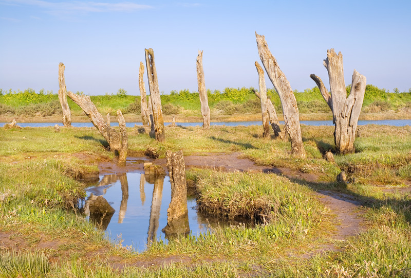 Thornham-1