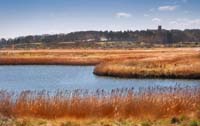 Blakeney-5