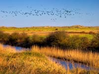 Burnham-Overy-Staithe-2