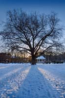 Norwich-Chapelfield-Gardens-snow