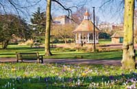 Norwich-Chapelfield-Gardens