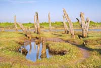 Thornham-1